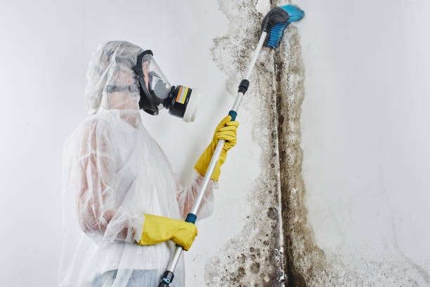 Crawl Space Mold Removal in Baden, MD