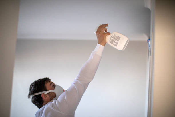 Best Fast Mold Removal  in Baden, MD