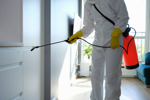 Best Mold Cleaning Services  in Baden, MD
